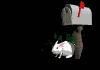 SEND EMAIL